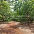  Land for sale in Kratie, Pir Thnu, Snuol, Kratie
