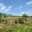  Land for sale in Pursat, Svay Sa, Krakor, Pursat