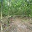  Land for sale in Kratie, Pir Thnu, Snuol, Kratie