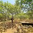  Land for sale in Kratie, Sambok, Chetr Borei, Kratie
