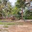  Land for sale in Koh Kong, Chrouy Svay, Srae Ambel, Koh Kong