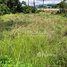  Land for sale in Kampot, Trapeang Thum, Tuek Chhou, Kampot