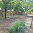  ដី for sale in កៀនស្វាយ, ខេត្តកណ្ដាល, ឃុំភូមិធំ, កៀនស្វាយ