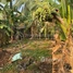  Land for sale in Kampong Cham, Sambuor Meas, Kampong Cham, Kampong Cham