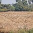  Land for sale in Oddar Meanchey, Kouk Mon, Banteay Ampil, Oddar Meanchey