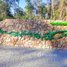  Land for sale in Svay Leu, Siem Reap, Svay Leu, Svay Leu