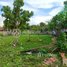  Land for sale in Chreav, Krong Siem Reap, Chreav