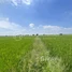  Land for sale in Kandal, Lvea Sar, Lvea Aem, Kandal