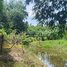  Land for sale in Pursat, Samraong, Phnum Kravanh, Pursat