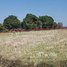  Land for sale in Prasat Bakong, Siem Reap, Mean Chey, Prasat Bakong