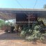 1 Bedroom House for sale in Kampong Thom, Kraya, Santuk, Kampong Thom