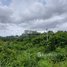  Land for sale in Stung Treng, Kbal Romeas, Sesan, Stung Treng