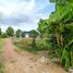  Land for sale in Chreav, Krong Siem Reap, Chreav