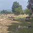  Land for sale in Pursat, Chheu Tom, Krakor, Pursat
