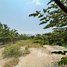  Land for sale in Kandal, Akreiy Ksatr, Lvea Aem, Kandal