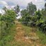  Land for sale in Kampot, Kampong Kraeng, Tuek Chhou, Kampot