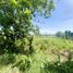 Land for sale in Preah Vihear, Sror Aem, Choam Ksant, Preah Vihear