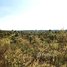  Land for sale in Kratie, Kanhchor, Chhloung, Kratie