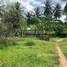  ដី for sale in ខេត្ត​បាត់ដំបង, Sla Ket, ក្រុងបាត់ដំបង, ខេត្ត​បាត់ដំបង
