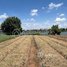  Land for sale in S'ang, Kandal, Svay Prateal, S'ang