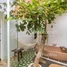Studio Hotel for rent in Cambodia, Svay Dankum, Krong Siem Reap, Siem Reap, Cambodia