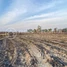  Land for sale in Kampong Speu, Veal Pong, Odongk, Kampong Speu