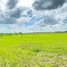  Land for sale in Prey Veng, Kansoam Ak, Kampong Trabaek, Prey Veng