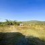  Land for sale in Kampong Speu, Svay Chacheb, Basedth, Kampong Speu