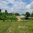  Land for sale in Dangkao, Phnom Penh, Kong Noy, Dangkao
