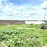  Land for sale in Mukh Kampul, Kandal, Preaek Anhchanh, Mukh Kampul