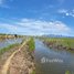  ដី for sale in ខេត្តកំពត, ជុំគ្រៀល, ទឹកឈូ, ខេត្តកំពត