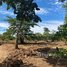  Land for sale in Choam Ksant, Preah Vihear, Sror Aem, Choam Ksant