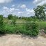  Land for sale in Banteay Meanchey, Phsar Kandal, Paoy Paet, Banteay Meanchey