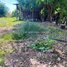  Land for sale in Choam Ksant, Preah Vihear, Sror Aem, Choam Ksant