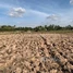  Land for sale in Kampong Speu, Basedth, Basedth, Kampong Speu