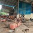 Studio Warehouse for sale in Preah Vihear, Pal Hal, Preah Vihear, Preah Vihear