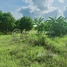  Land for sale in Preah Vihear, Sror Aem, Choam Ksant, Preah Vihear