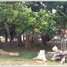  Land for rent in Savannakhet, Outhoomphone, Savannakhet