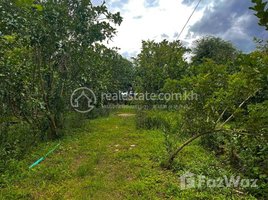  Land for sale in Cambodia, Chheu Teal, Kien Svay, Kandal, Cambodia