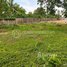  Land for sale in Chbar Ampov, Phnom Penh, Preaek Aeng, Chbar Ampov