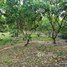  Land for sale in Kampong Thom, Boeng Lvea, Santuk, Kampong Thom