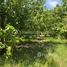  Land for sale in Kandal, Kampong Svay, Kien Svay, Kandal