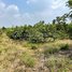  Land for sale in Kratie, Snuol, Snuol, Kratie