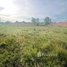 ដី for sale in Praek Pnov, ភ្នំពេញ, Kouk Roka, Praek Pnov