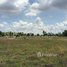  Land for sale in Kampong Speu, Srang, Kong Pisei, Kampong Speu