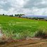  Land for sale in Kampong Cham, Sdaeung Chey, Cheung Prey, Kampong Cham