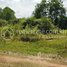  Land for sale in Sla Kram, Krong Siem Reap, Sla Kram