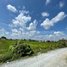  Land for sale in Kampong Speu, Prey Nheat, Kong Pisei, Kampong Speu