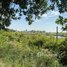  Land for sale in Kampong Thom, Trea, Stoung, Kampong Thom
