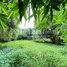  Land for sale in Siem Reap, Sala Kamreuk, Krong Siem Reap, Siem Reap
